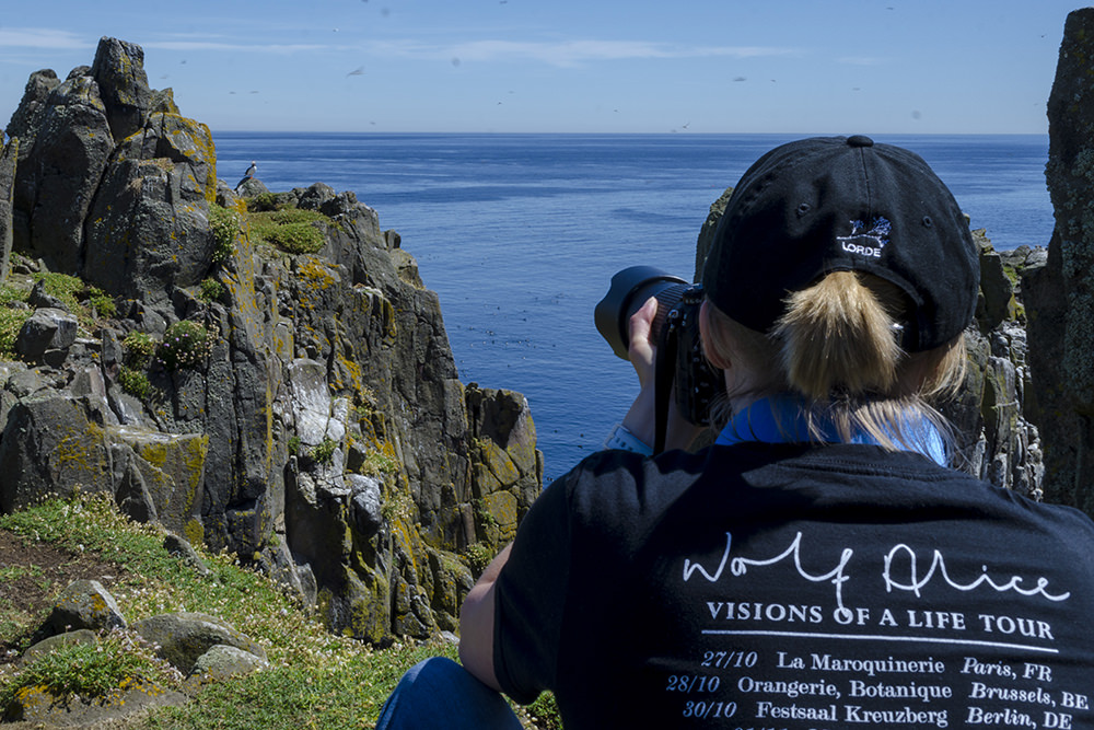 Photo of the back of Rhiannon Law taking a photo of a puffin on cliffs in the distance