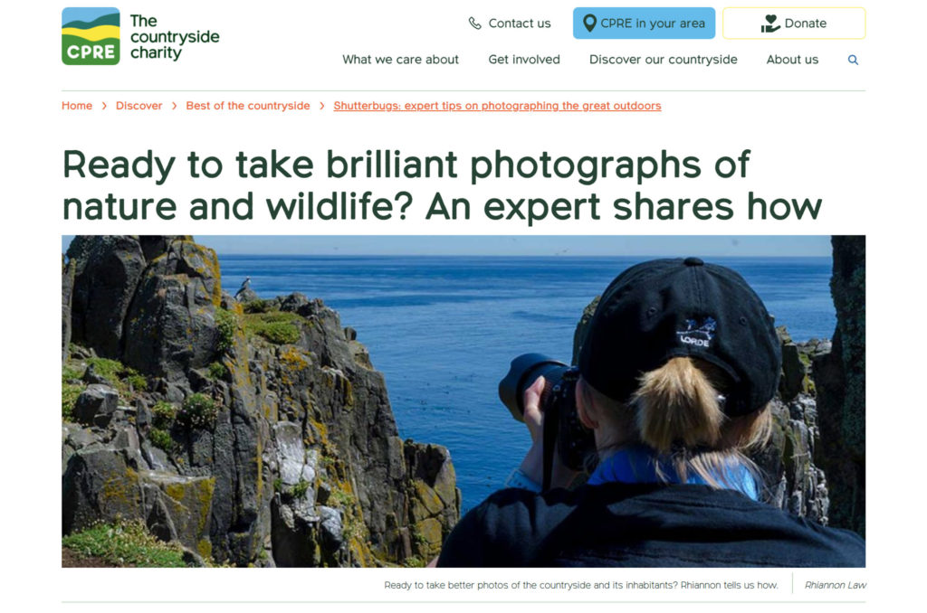 Screenshot of wildlife photography article on CPRE website