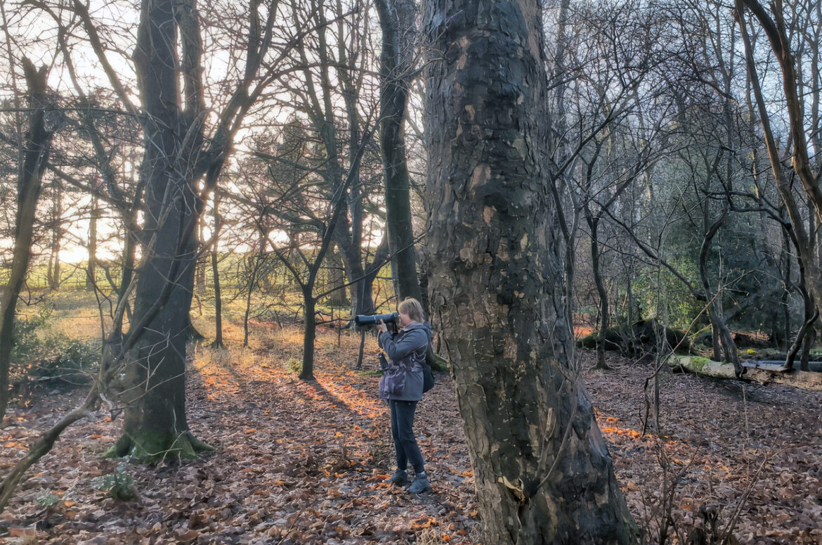 Woman standing in woodland pointing her camera at something